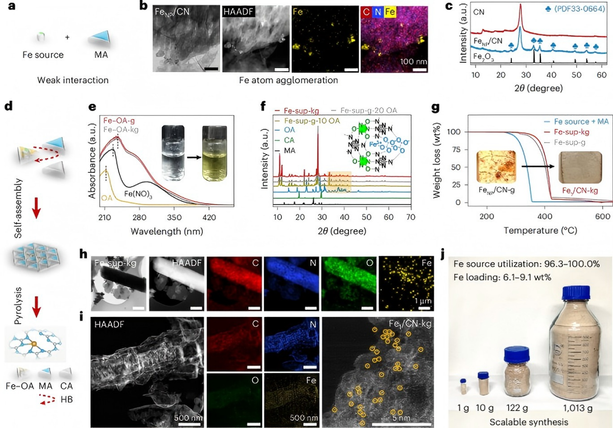 浙江大学徐江研究员团队在Nature Water发文揭示了通用可规模化生产的单原子催化剂用于抗生素废水处理